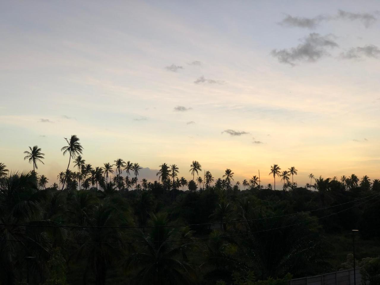 Pôrto das Galinhas Palm Acqua Resort المظهر الخارجي الصورة